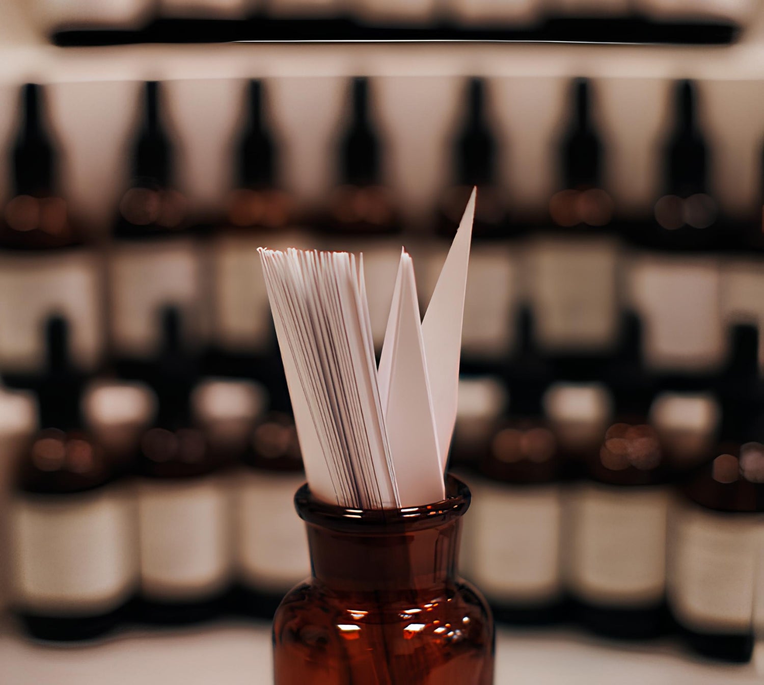 Crafted in France, Majouri